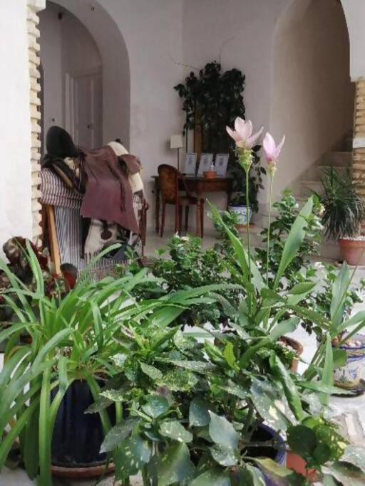 Sanlúcar de Barrameda Apartamento El Sosiego מראה חיצוני תמונה