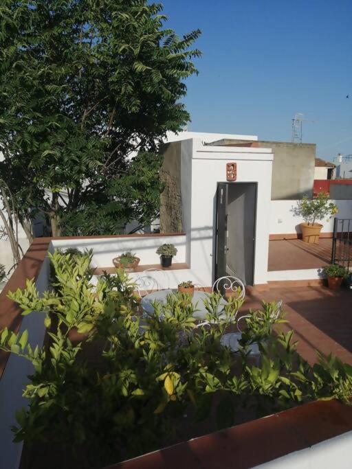 Sanlúcar de Barrameda Apartamento El Sosiego מראה חיצוני תמונה